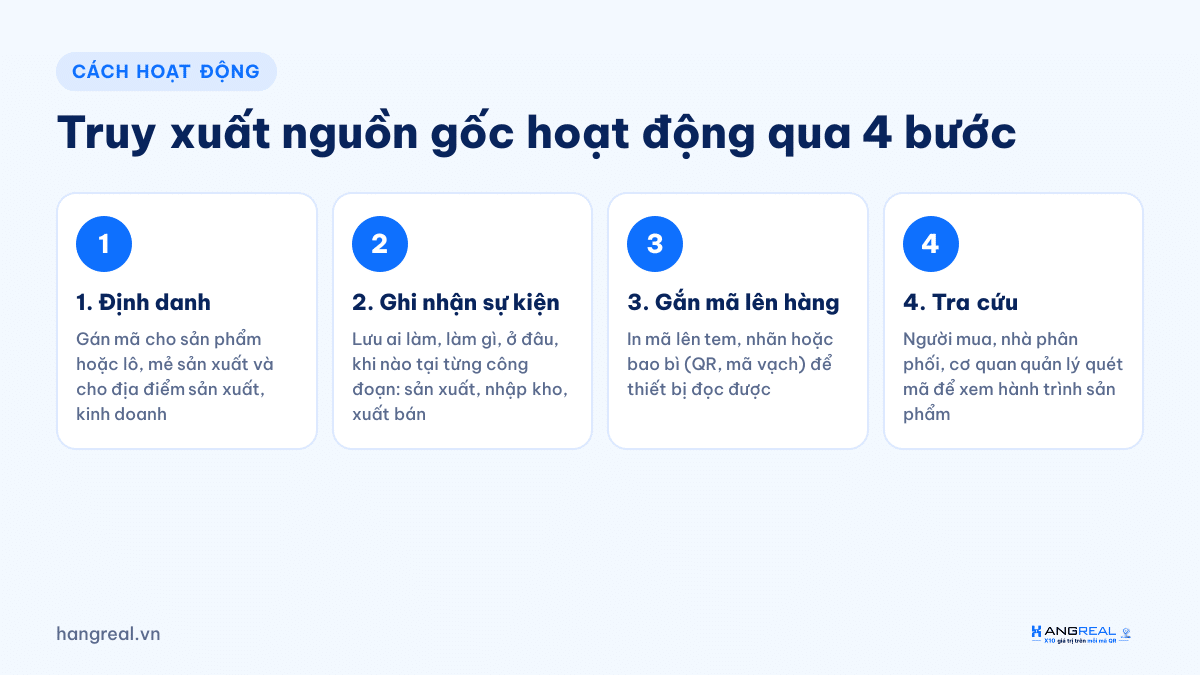4 bước truy xuất nguồn gốc: định danh, ghi nhận sự kiện, gắn mã, tra cứu